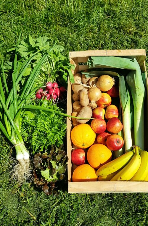 Le moyen panier de fruits et légumes BIO