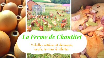 Spécial fêtes - CHAPON - Ferme de Chantitet – Image 5