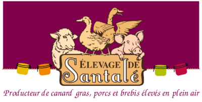 Spécial fêtes - CANARD ENTIER - Ferme de Santalé – Image 3